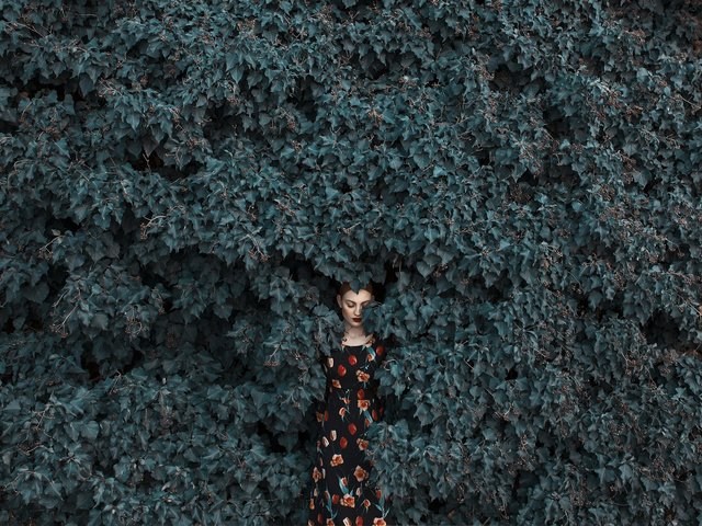 Обои листья, девушка, платье, рыжая, mara saiz, leaves, girl, dress, red разрешение 2048x1365 Загрузить