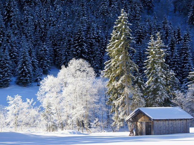 Обои деревья, снег, природа, лес, зима, домик, германия, бавария, trees, snow, nature, forest, winter, house, germany, bayern разрешение 2048x1369 Загрузить