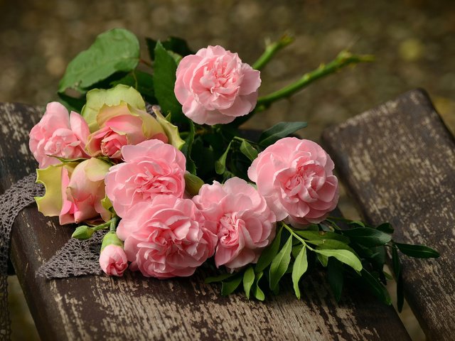Обои цветы, бутоны, розы, лепестки, скамейка, букет, розовые, flowers, buds, roses, petals, bench, bouquet, pink разрешение 3840x2400 Загрузить