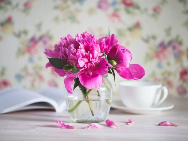 Обои цветы, лепестки, розовые, букетик, пионы, flowers, petals, pink, a bunch, peonies разрешение 1920x1200 Загрузить