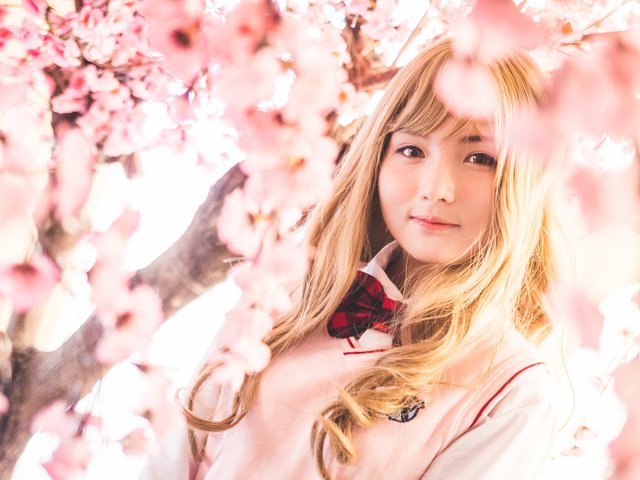 Обои цветы, девушка, взгляд, лицо, сакура, азиатка, flowers, girl, look, face, sakura, asian разрешение 5472x3648 Загрузить