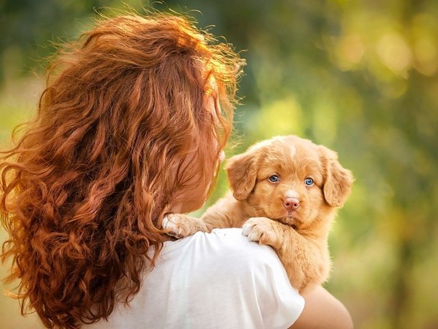 Обои девушка, настроение, собака, щенок, голубые глаза, рыжеволосая, girl, mood, dog, puppy, blue eyes, redhead разрешение 1920x1200 Загрузить