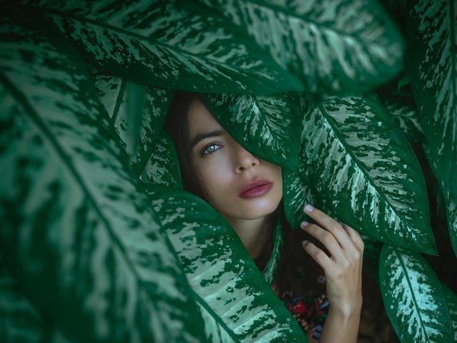 Обои природа, surabhi gupta, листья, девушка, портрет, взгляд, модель, лицо, лена, nature, leaves, girl, portrait, look, model, face, lena разрешение 2048x1367 Загрузить