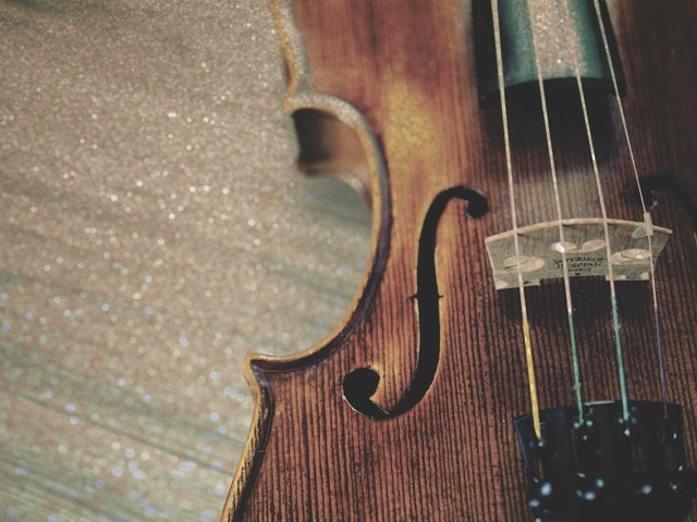 Обои скрипка, музыка, струны, музыкальный инструмент, violin, music, strings, musical instrument разрешение 5632x4000 Загрузить