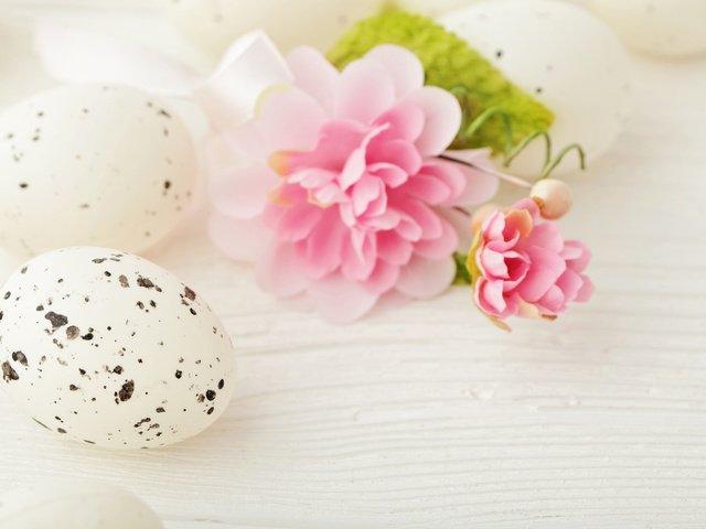 Обои пасха, яйца, камелия, easter, eggs, camellia разрешение 4835x3322 Загрузить