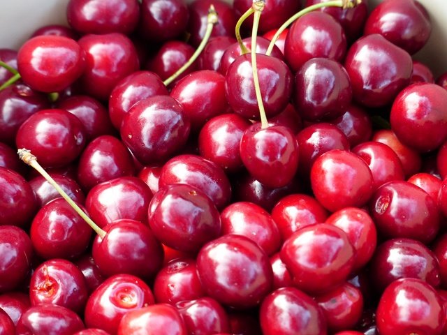 Обои черешня, ягоды, вишня, cherry, berries разрешение 4000x3000 Загрузить