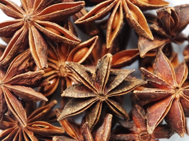 Обои специи, анис, бадьян, пряность, ани, spices, anis, star anise, spice, ani разрешение 4928x3264 Загрузить