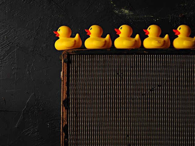 Обои фон, стена, черный фон, игрушки, утята, утки, утка, резиновый утенок, background, wall, black background, toys, ducklings, duck, rubber duck разрешение 2048x1360 Загрузить