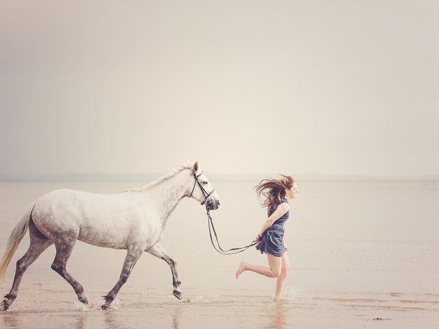 Обои лошадь, берег, девушка, море, пляж, горизонт, свобода, бег, horse, shore, girl, sea, beach, horizon, freedom, running разрешение 2048x1367 Загрузить