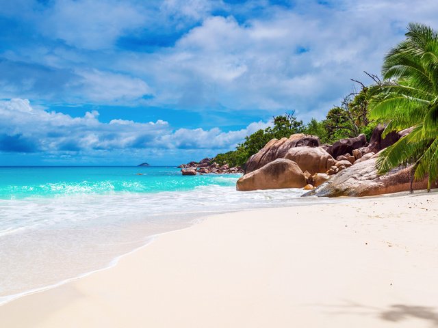 Обои море, пляж, тропики, сейшелы, sea, beach, tropics, seychelles разрешение 6605x4408 Загрузить