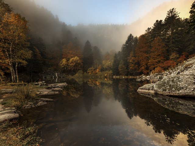 Обои деревья, река, природа, лес, туман, осень, etienne ruff, trees, river, nature, forest, fog, autumn разрешение 1920x1200 Загрузить