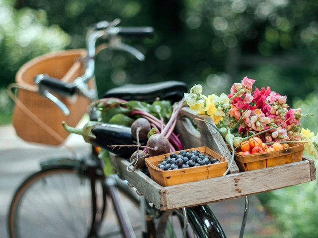 Обои цветы, лето, фрукты, овощи, велосипед, боке, flowers, summer, fruit, vegetables, bike, bokeh разрешение 2048x1383 Загрузить