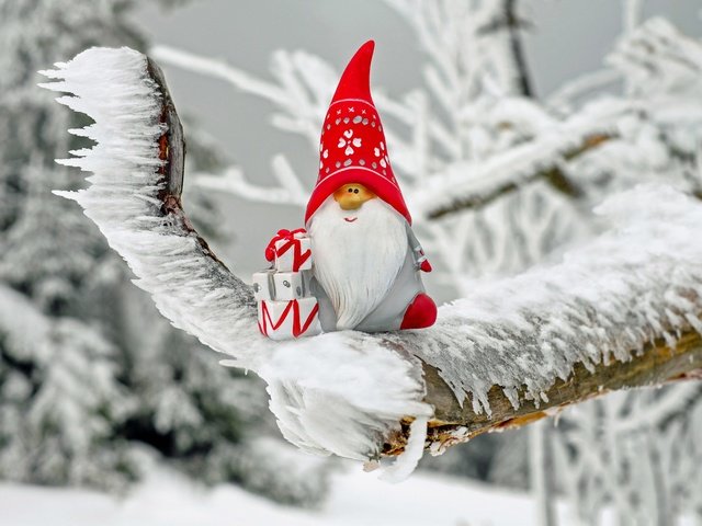 Обои снег, новый год, лёд, игрушка, рождество, санта клаус, snow, new year, ice, toy, christmas, santa claus разрешение 4896x3236 Загрузить