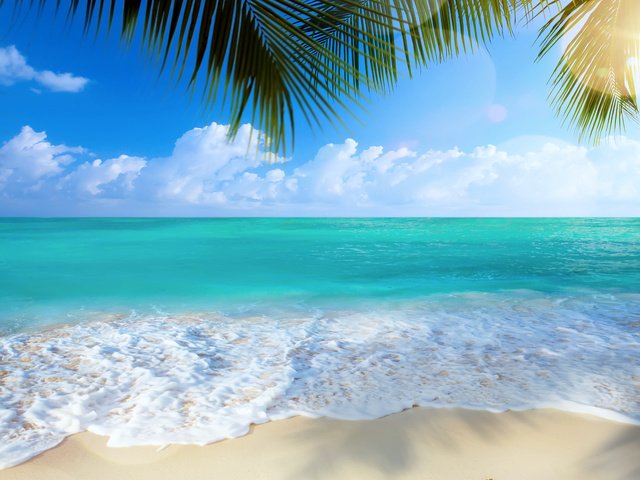 Обои море, пляж, тропики, 28, sea, beach, tropics разрешение 6000x4000 Загрузить