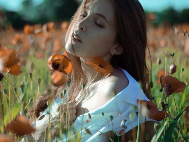 Обои цветы, девушка, маки, волосы, лицо, закрытые глаза, flowers, girl, maki, hair, face, closed eyes разрешение 2048x1356 Загрузить