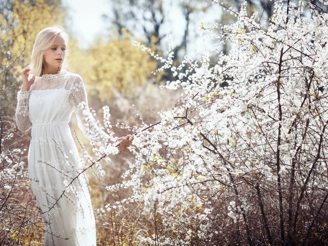 Обои природа, девушка, блондинка, ветки, весна, белое платье, невеста, tatjana, nature, girl, blonde, branches, spring, white dress, the bride разрешение 2195x1100 Загрузить