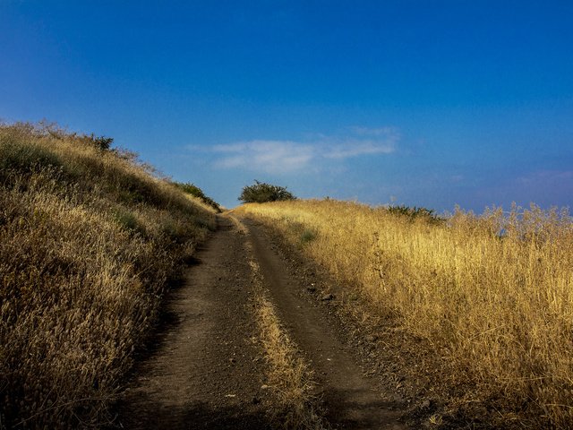 Обои дорога, трава, холмы, голубое небо, leonid len, road, grass, hills, blue sky разрешение 2184x1456 Загрузить