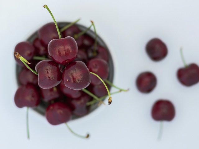 Обои макро, черешня, ягоды, вишня, вишни, macro, cherry, berries разрешение 2048x1419 Загрузить