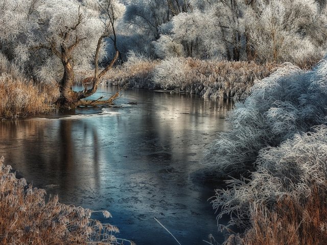 Обои деревья, река, растения, иней, камыш, trees, river, plants, frost, reed разрешение 2048x1364 Загрузить