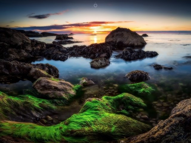 Обои скалы, камни, берег, закат, море, побережье, водоросли, rocks, stones, shore, sunset, sea, coast, algae разрешение 2048x1365 Загрузить