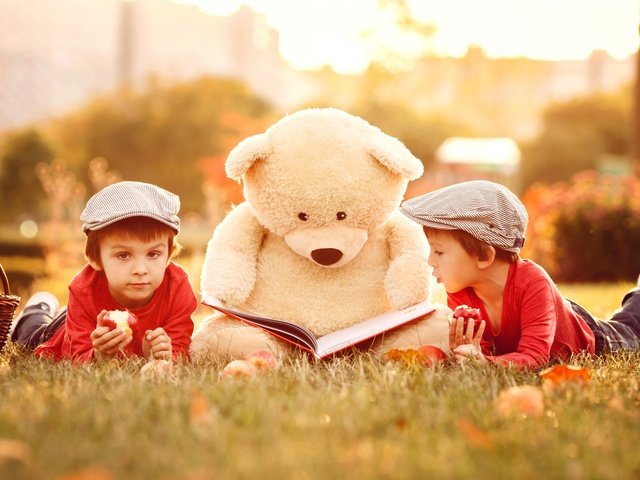 Обои трава, природа, медведь, дети, игрушка, книга, мальчики, grass, nature, bear, children, toy, book, boys разрешение 6000x4000 Загрузить