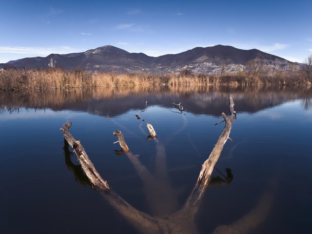 Обои небо, озеро, горы, природа, дерево, пейзаж, горизонт, горный хребет, the sky, lake, mountains, nature, tree, landscape, horizon, mountain range разрешение 2007x1307 Загрузить