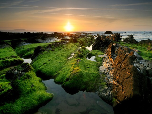 Обои небо, скалы, солнце, камни, море, побережье, водоросли, the sky, rocks, the sun, stones, sea, coast, algae разрешение 2560x1700 Загрузить