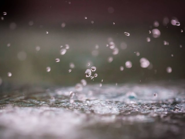Обои вода, макро, капли, дождь, silvrshootr, water, macro, drops, rain разрешение 1920x1200 Загрузить