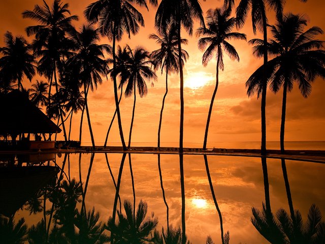 Обои закат, отражение, побережье, пальмы, курорт, гавайи, палмы, sunset, reflection, coast, palm trees, resort, hawaii, palm разрешение 2560x1700 Загрузить