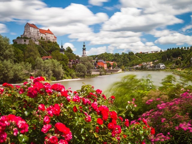 Обои цветы, бургхаузен, река, salzach river, замок бургхаузен, кусты, река зальцах, замок, розы, германия, бавария, баварии, flowers, burghausen, river, burghausen castle, the bushes, the salzach river, castle, roses, germany, bayern, bavaria разрешение 4381x2921 Загрузить