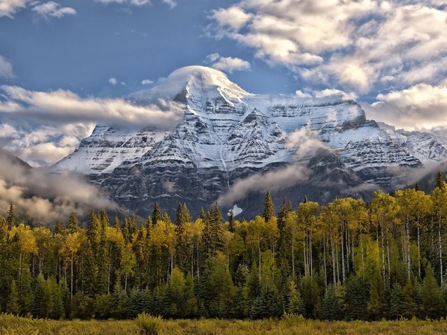 Обои небо, облака, деревья, горы, природа, пейзаж, the sky, clouds, trees, mountains, nature, landscape разрешение 1920x1082 Загрузить