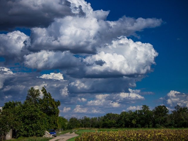 Обои небо, облака, деревья, природа, the sky, clouds, trees, nature разрешение 2140x1427 Загрузить