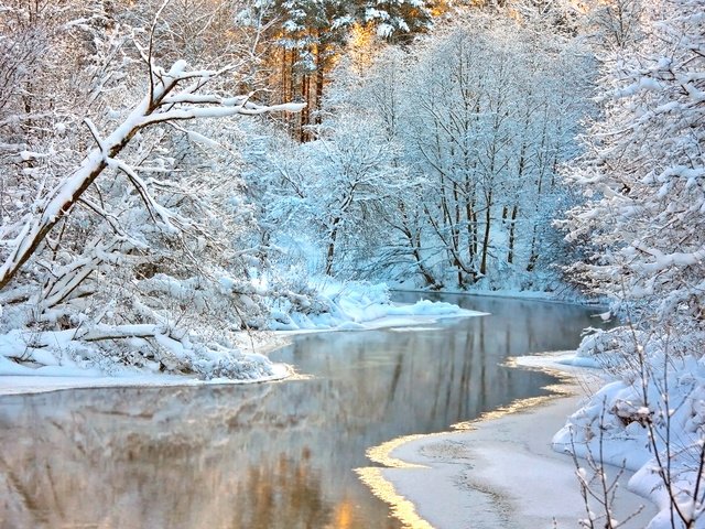 Обои деревья, река, снег, природа, лес, зима, ветки, trees, river, snow, nature, forest, winter, branches разрешение 2560x1600 Загрузить