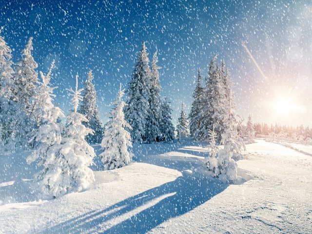 Обои небо, деревья, снег, природа, зима, пейзаж, снегопад, the sky, trees, snow, nature, winter, landscape, snowfall разрешение 2880x1800 Загрузить