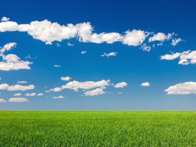 Обои небо, облака, природа, пейзаж, поле, лето, the sky, clouds, nature, landscape, field, summer разрешение 1920x1200 Загрузить