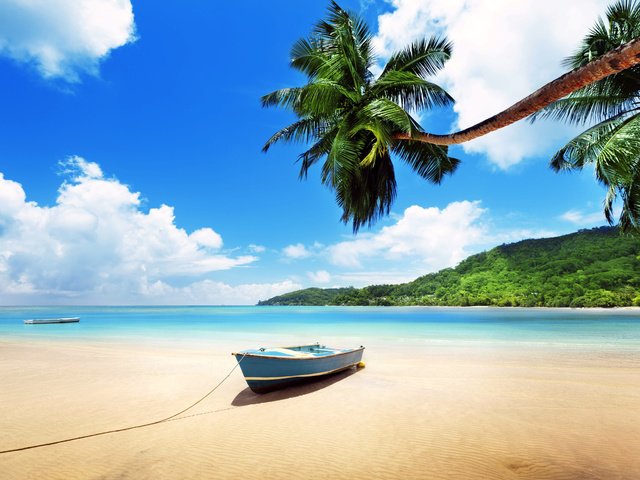 Обои море, пляж, лодка, тропики, 1, sea, beach, boat, tropics разрешение 5508x4500 Загрузить