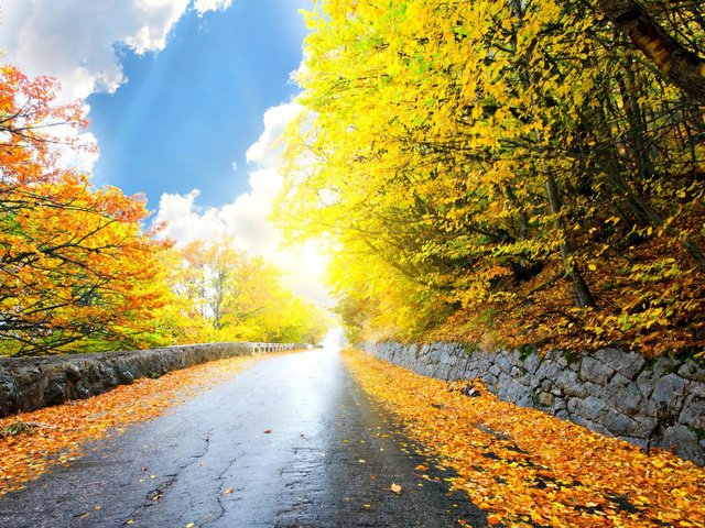 Обои дорога, природа, лес, парк, осень, road, nature, forest, park, autumn разрешение 3840x2400 Загрузить