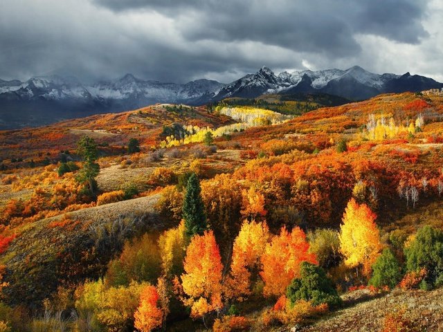 Обои деревья, горы, лес, листья, осень, сша, колорадо, trees, mountains, forest, leaves, autumn, usa, colorado разрешение 1920x1200 Загрузить