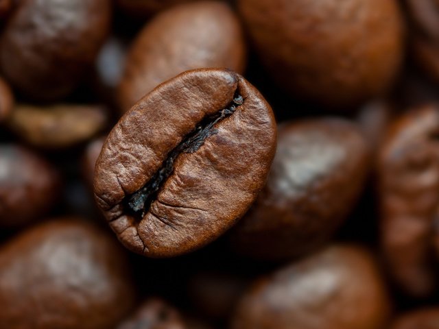 Обои макро, зерна, кофе, кофейные зерна, крупным планом, macro, grain, coffee, coffee beans, closeup разрешение 1920x1200 Загрузить