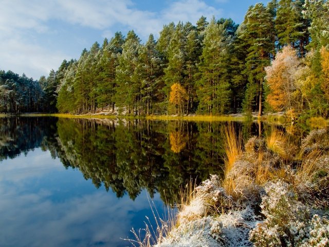 Обои небо, осень, облака, деревья, озеро, природа, лес, отражение, иней, the sky, autumn, clouds, trees, lake, nature, forest, reflection, frost разрешение 1920x1200 Загрузить