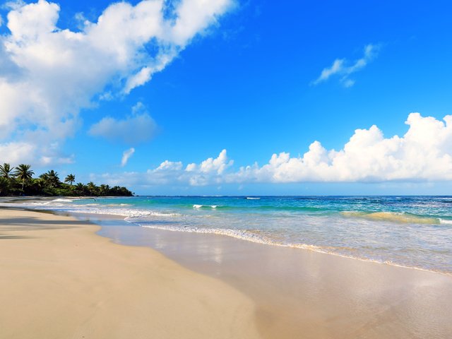Обои море, пляж, тропики, 8, sea, beach, tropics разрешение 4000x2667 Загрузить