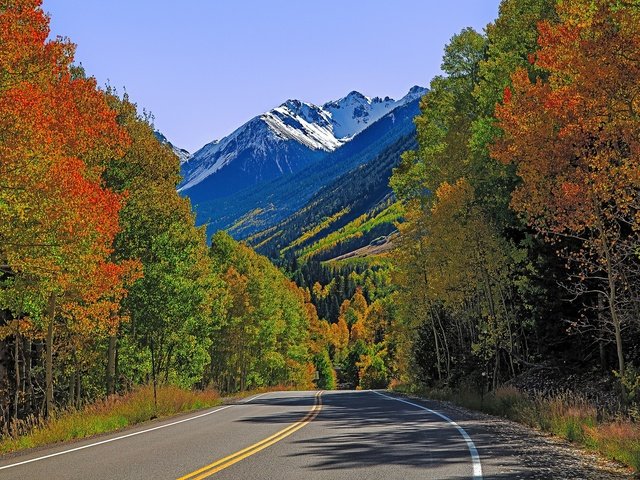 Обои дорога, деревья, горы, осень, сша, колорадо, лайзард хед пасс, road, trees, mountains, autumn, usa, colorado, lizard head pass разрешение 2048x1201 Загрузить