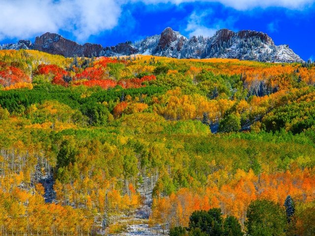 Обои небо, аспен, облака, горы, лес, склон, осень, сша, колорадо, the sky, aspen, clouds, mountains, forest, slope, autumn, usa, colorado разрешение 2048x1208 Загрузить