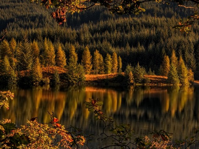 Обои деревья, achray forest, loch drunkie, озеро, лес, отражение, осень, шотландия, озеро дранки, троссачс, trees, lake, forest, reflection, autumn, scotland, lake shingles, trossachs разрешение 2160x1080 Загрузить