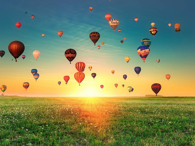Обои небо, трава, шары, закат, пейзаж, поле, воздушные шары, the sky, grass, balls, sunset, landscape, field, balloons разрешение 1920x1200 Загрузить