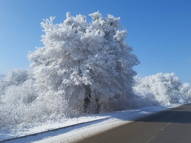 Обои небо, дорога, деревья, снег, природа, зима, кусты, иней, the sky, road, trees, snow, nature, winter, the bushes, frost разрешение 1920x1080 Загрузить