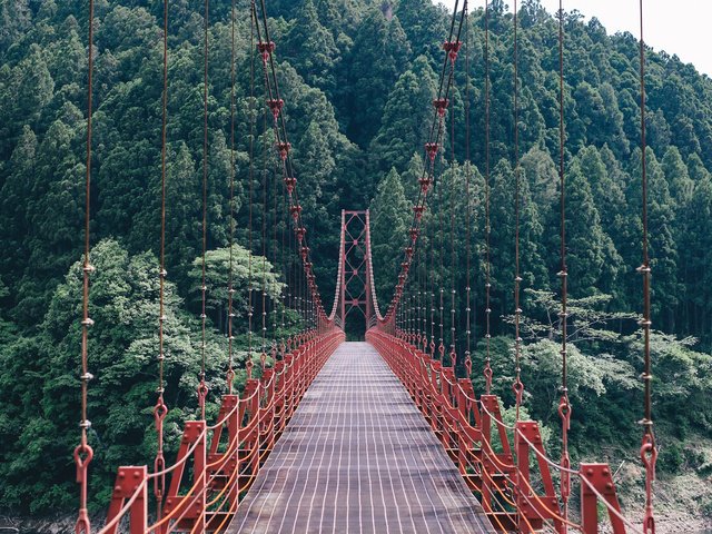 Обои деревья, природа, лес, пейзаж, мост, подвесной мост, trees, nature, forest, landscape, bridge, suspension bridge разрешение 1920x1200 Загрузить