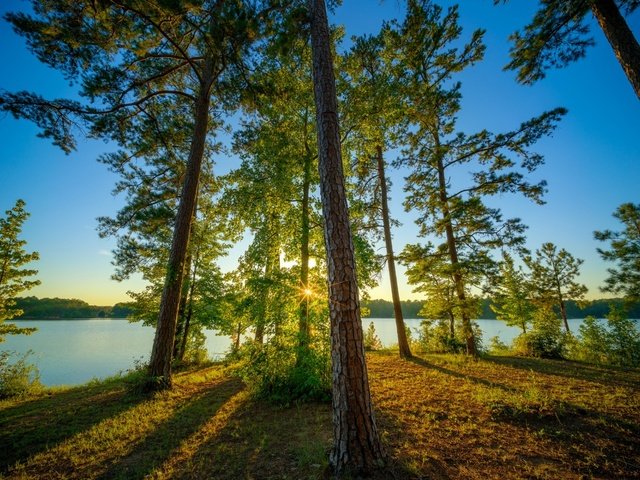 Обои озеро, природа, лес, lake, nature, forest разрешение 1920x1200 Загрузить