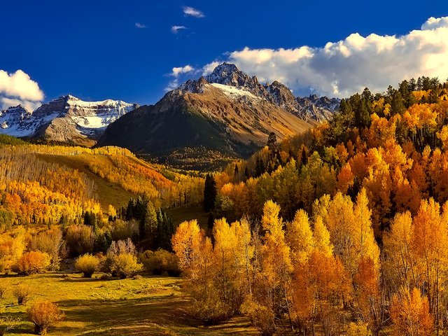 Обои небо, облака, деревья, горы, природа, лес, осень, колорадо, the sky, clouds, trees, mountains, nature, forest, autumn, colorado разрешение 1920x1200 Загрузить