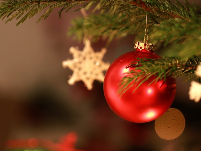 Обои новый год, елка, звезды, шар, рождество, елочные игрушки, jonas haase, new year, tree, stars, ball, christmas, christmas decorations разрешение 3840x2400 Загрузить